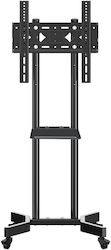ATC Επιδαπέδια Βάση Tv 32'' 55'' Atc-y609s-2 ATC Επιδαπέδια Βάση Tv 32'' 55'' Atc-y609s-2