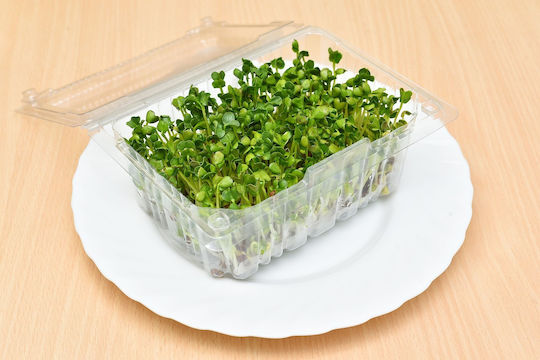 Semințe de Rucola "Eruca Sativa" 10g