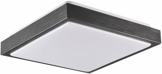 Φωτιστικό Οροφής Kazimierz 2xe27 20w 230v 29,5x29,5 Cm Μαύρο Φωτιστικό Οροφής Kazimierz 2xe27 20w 230v 29,5x29,5 Cm Μαύρο