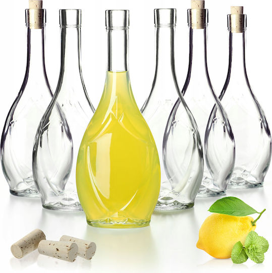 Kadax Set 6 Bucăți Vaze Utilizare Generală cu Plută Sticlă Transparentă 500ml 6 Bucăți