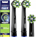 Oral-B Elektrische Zahnbürsten-Ersatzköpfe Cross Action EB50BK Schwarz 2 Stück