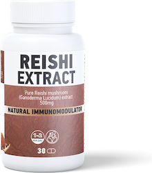 Natura Therapy Reishi Extrage 30 capace