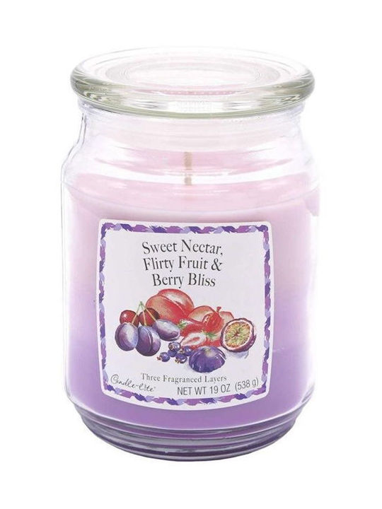 Candle Light Scented Candle with Scent Nectar & Fruit & Berry Purple 538gr 1pcs