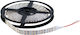 Elmark LED-Streifen 12V Kaltweiß Licht 5m Typ SMD5050