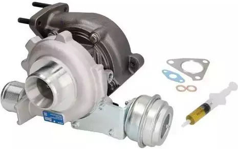 Turbo Suzuki Grand Vitara II JT BTS Turbo T914662
