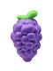 Παιχνίδι Σκύλου Nunbell Grape 12x7cm