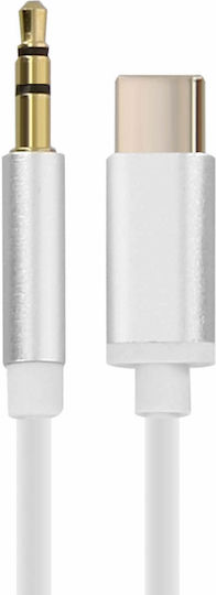 Avizar Редовна USB 2.0 Кабел USB-C мъжки - 3,5 мм мъжки Бял 1м