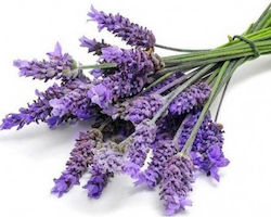 Diffuser with Fragrance Lavender 1000gr 100ml