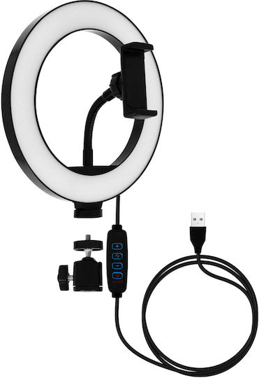 LinQ Ring Light 26cm