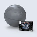 TRNR Balls Pilates 65cm