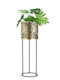 Planter Metal Gold with Stand 16x16x60cm.