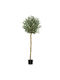 Artificial Outdoor Tree Olive Green 160cm Marhome