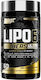 Nutrex Lipo 6 Hers Black 60 capace