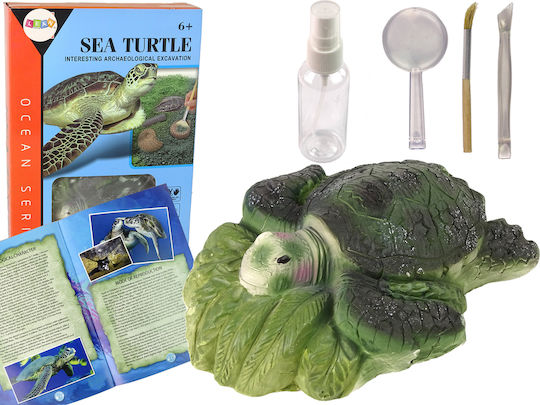 Lean Toys Ammonite Turtle Excavation Educational Game Knowledge for 6+ years old Years Old