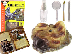 Lean Toys Triceratops Dinosaur Excavation für 6+ Jahre Jahre alt