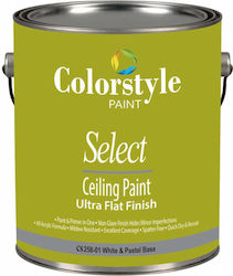 Colorstyle Paint Select Plastic Ecologic Hidrocolor pentru Utilizare Intern White Cs 258 3lt Colorstyle Paint Select Plastic Ecologic Hidrocolor pentru Utilizare Intern White Cs 258 3lt