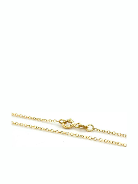 Drandakis Gold Chain Neck 9K Length 55cm