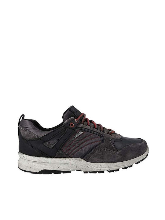 Geox Sneakers Grey