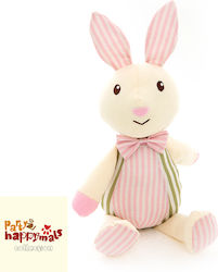Happymals Party Time: Hare