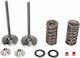 Moose Racing Σετ Βαλβίδες Ελατήρια Ατσάλι M30-31200 Honda Crf 250 X 04-18 R 04-09 Kit