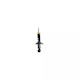 Shock Absorber Honda Cr-v Iii Re Magnum Technology