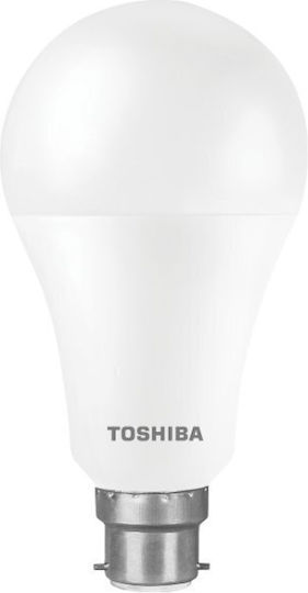 Toshiba LED-Lampe 15W für Fassung B22 und Form A70 Kühles Weiß