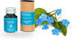 Rohrer & Klingner Replacement Ink for Pen Rohre...
