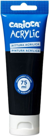 Carioca Acrylic Paint Set Black 75ml 1pcs