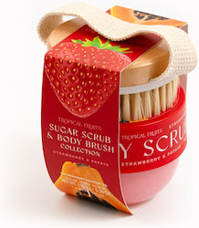 Somerset Toiletry Körperpeeling Körperbürstenset 150 g Erdbeere Papaya Somerset Toiletry Körperpeeling Körperbürstenset 150 g Erdbeere Papaya