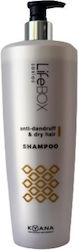 Kyana Shampoo Gegen Schuppen 1000ml Kyana Shampoo Gegen Schuppen 1000ml