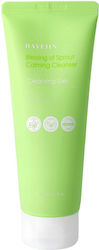 Gel de curățare facială Hayejin Blessing Sprout Calming Cleanser 170ml