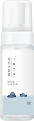 Round Lab 1025 Dokdo Bubble Foam 150ml Facial Cleansing Foam Round Lab 1025 Dokdo Bubble Foam 150ml Facial Cleansing Foam
