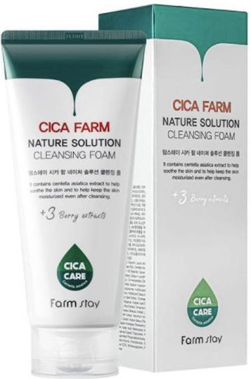Farm Stay Cica Farm Nature Solution Cleansing Foam 180 Ml Αφρός Καθαρισμού Προσώπου