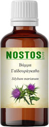 Βάμμα Γαϊδουράγκαθο Milk Thistle 30ml