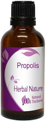 Nature & Body Tincture Propolis 50ml