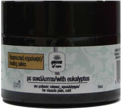 Laurus Nobilis Κεραλοιφή 50ml Laurus Nobilis Κεραλοιφή 50ml