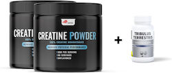 Natura Therapy Creatine Monohydrate + Tribulus Terrestris 200ml Natura Therapy Creatine Monohydrate + Tribulus Terrestris 200ml