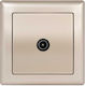 Mutlusan Daria Antenna Socket Terminal 10471
