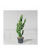 Künstlicher Baum für den Außenbereich Euphorbia Grün 67cm Supergreens
