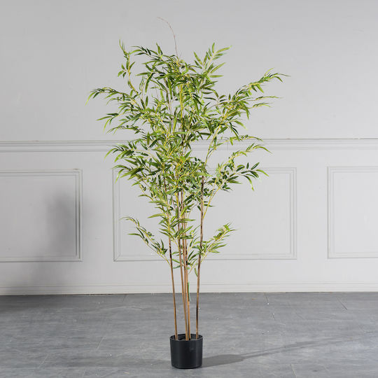 Φίκος Εξωτερικού Χώρου 150cm Supergreens