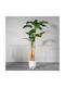 Arbore Artificial de Exterior Musa Green 240cm Supergreens
