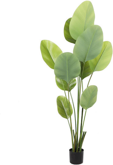 Πουλί του Παραδείσου Εξωτερικού Χώρου 180cm Supergreens