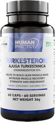 Human Protect Turkesterone 500 Мг 60 Капсули Human Protect Turkesterone 500 Мг 60 Капсули