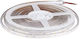 Bandă LED Albă 25 m Lungime 12V DC Putere 140W 18000 lm IP65