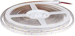 LED-Streifen Rot Länge 5 m Leistung 14,4 W 1000 Lm IP65 LED-Streifen Rot Länge 5 m Leistung 14,4 W 1000 Lm IP65