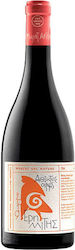 Samou (EOS) Eremitis Weiß Trocken 750ml Samou (EOS) Eremitis Weiß Trocken 750ml