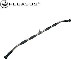 Pegasus 393113400