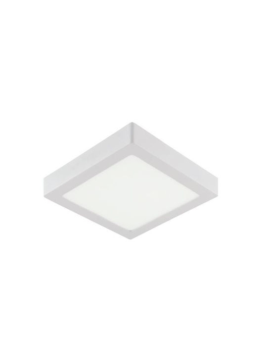 Panou LED Pătrat Arine-28 Lumină Rece 28W 30x30cm 1960 Lm