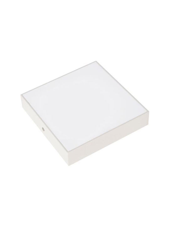 Plafonieră LED Pătrată Sofia 36W Lumină Rece Albă 225x225 mm 3240 lm Albă