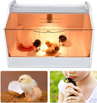 Chicken Incubator Brooding Box High-quality Build Optimal Lighting 48x30x30cm